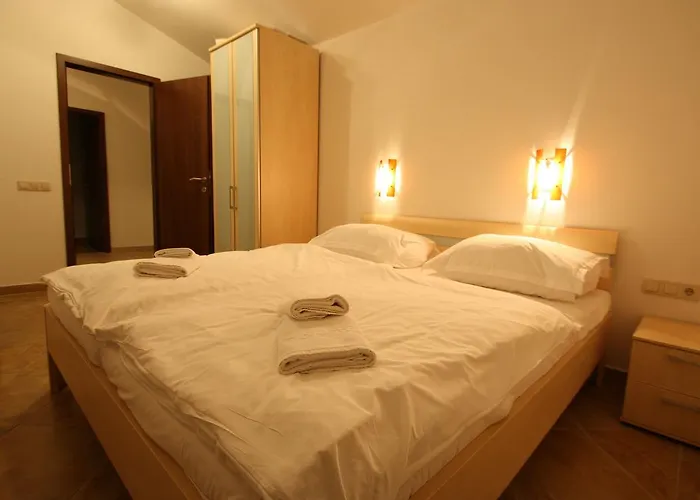 Ferienhaus In Novigrad With Private Pool *